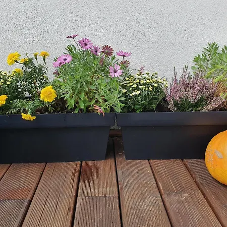 Sloneczny Air Conditioning Lejlighed Słupsk