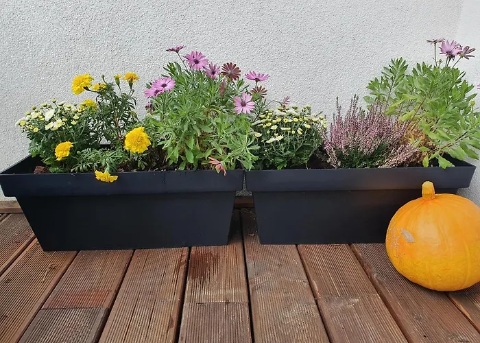 Sloneczny Air Conditioning Апартаменты Слупск