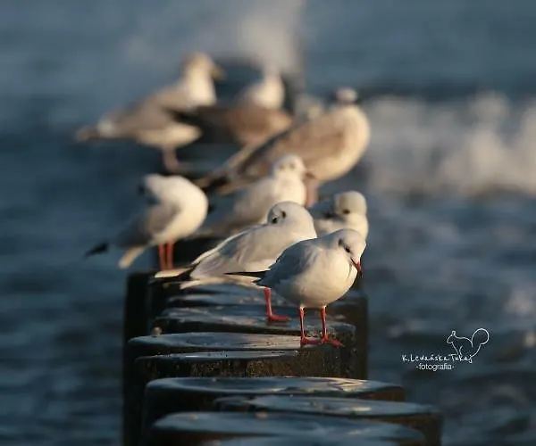 Sloneczny Air Conditioning Апартаменты Слупск